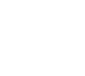 voltmoto